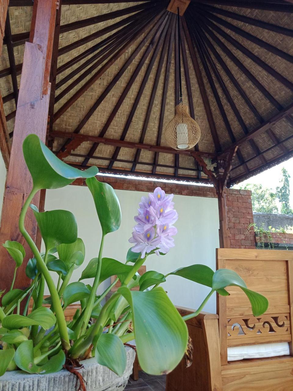 D'puja Home Stay&Spa Nusa Dua  Zewnętrze zdjęcie
